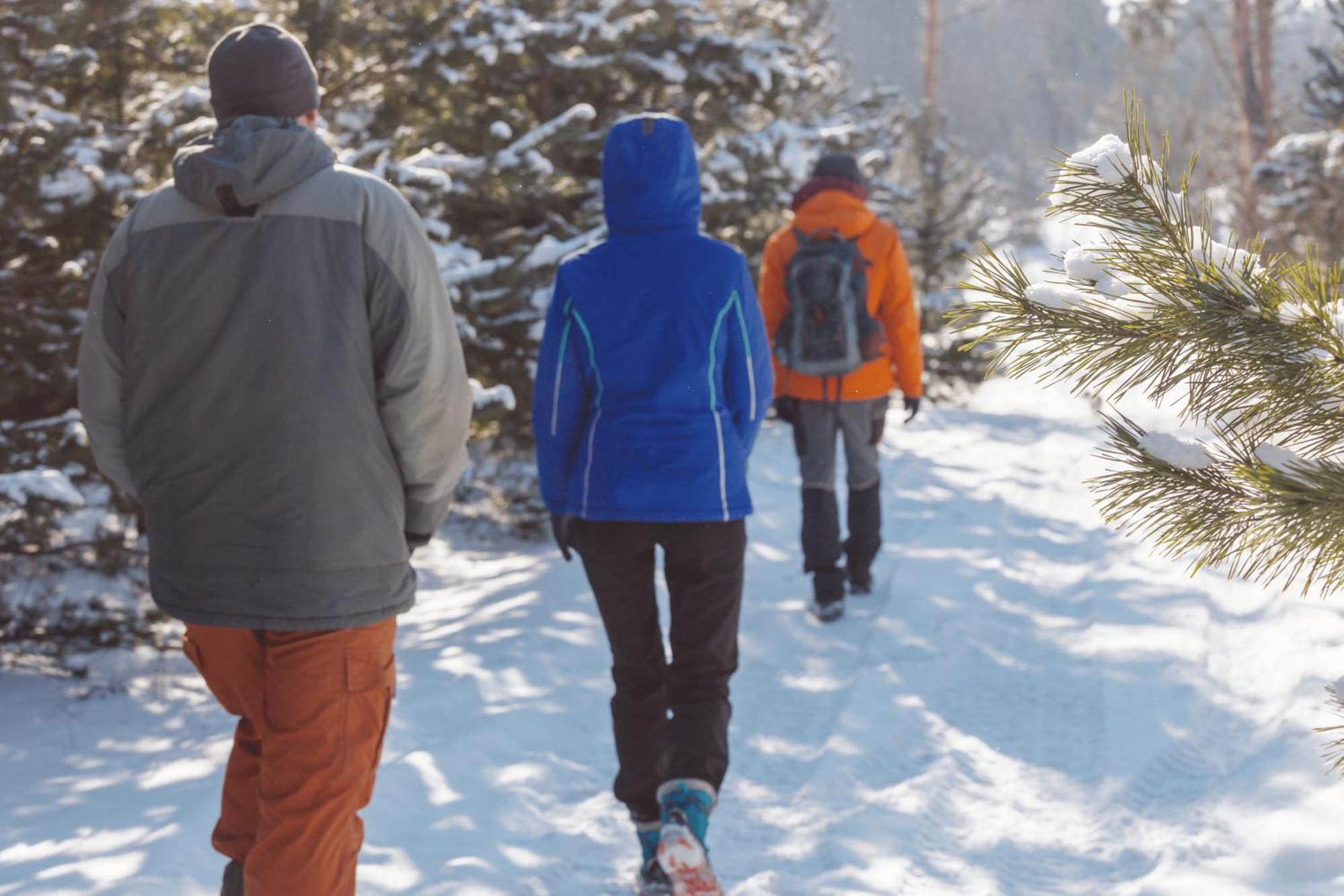 Charmant T3 Avec Vue Montagne Et Parking Privatif Font-Romeu-Odeillo-Via Екстер'єр фото
