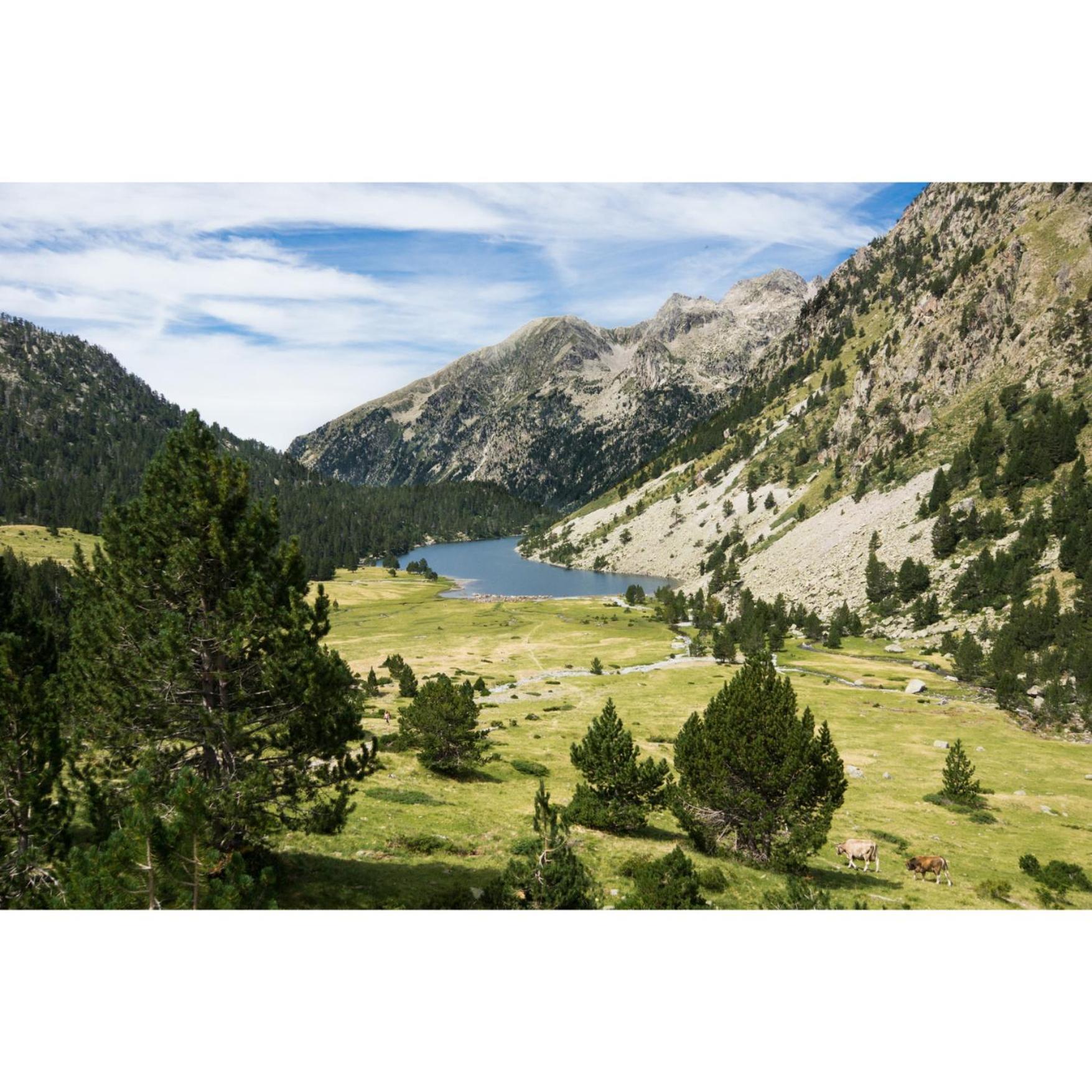 Charmant T3 Avec Vue Montagne Et Parking Privatif Font-Romeu-Odeillo-Via Екстер'єр фото